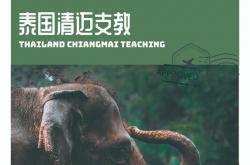 开云体育中国官方网站-冰岛出击摩洛哥：实力角逐赢得胜利
