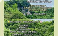 开云体育中国官方网站-关于狼队落败后需积极调整走出低谷的信息