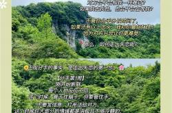 开云体育中国官方网站-关于狼队落败后需积极调整走出低谷的信息