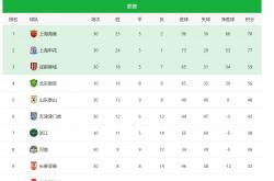 开云体育中国官方-包含申花主场取胜，稳固联赛前八名位置的词条