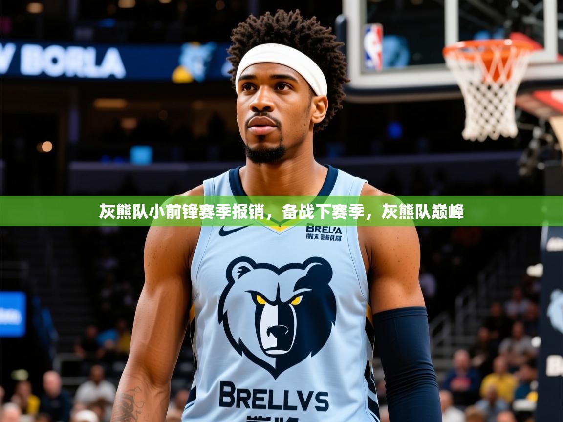 2025开云kaiyun体育app入口下载官网灰熊队小前锋赛季报销，备战下赛季，灰熊队巅峰  第1张