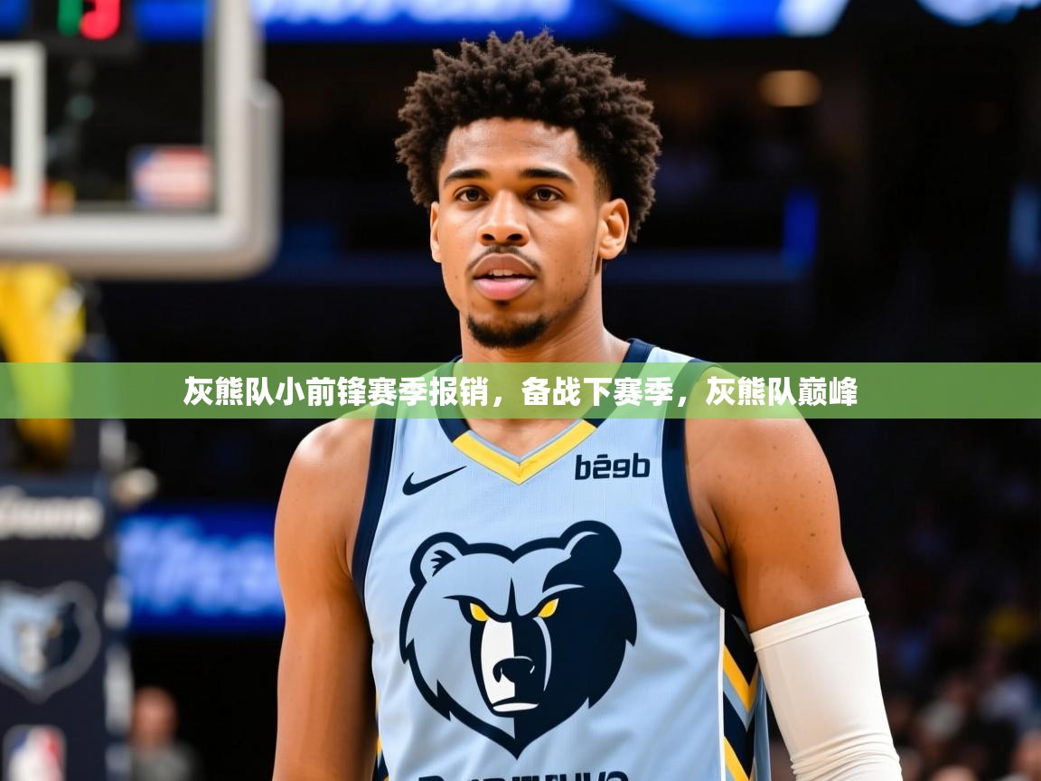2025开云kaiyun体育app入口下载官网灰熊队小前锋赛季报销，备战下赛季，灰熊队巅峰  第4张
