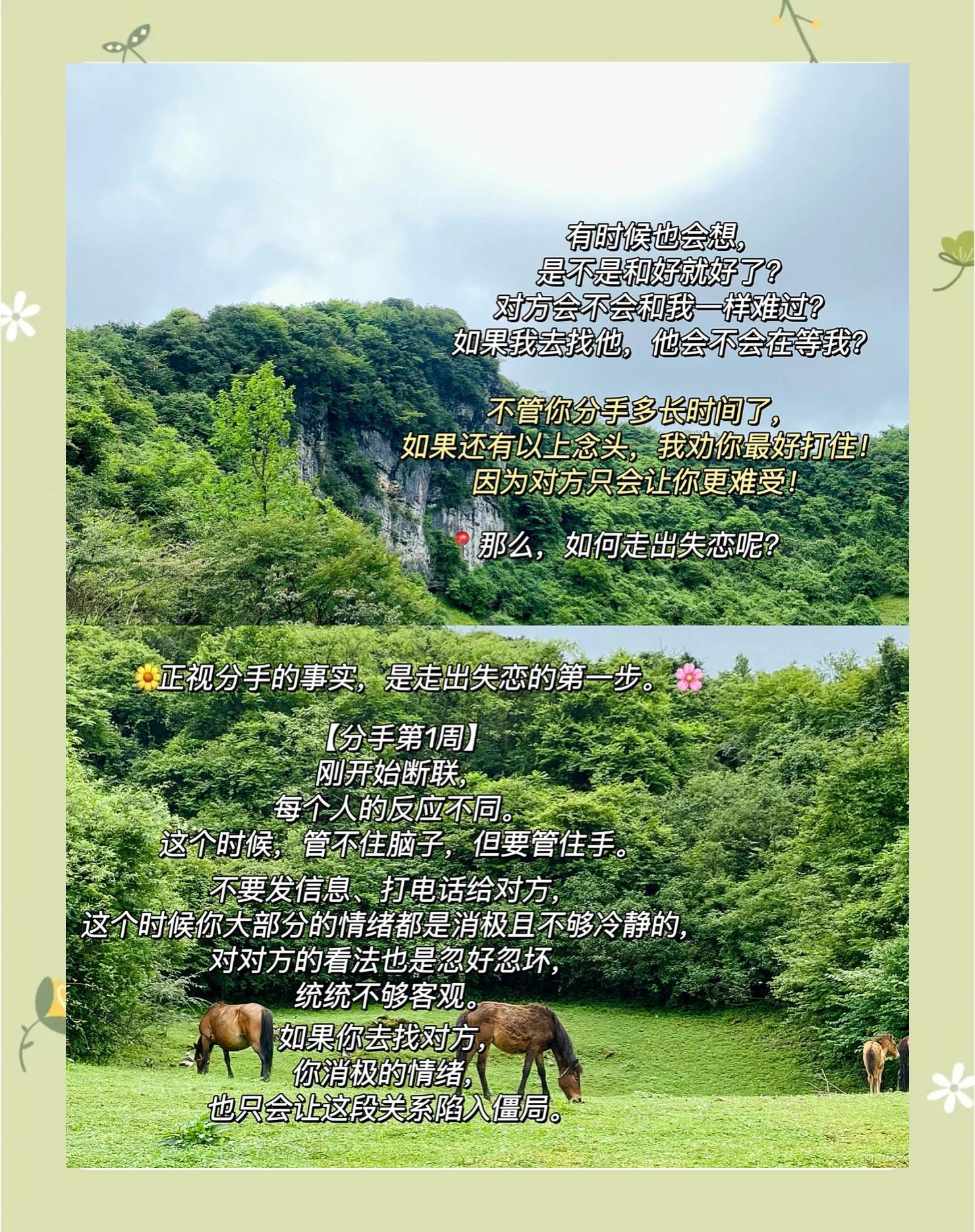 关于狼队落败后需积极调整走出低谷的信息